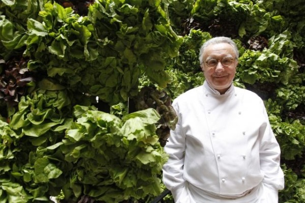 French chef Alain Ducasse