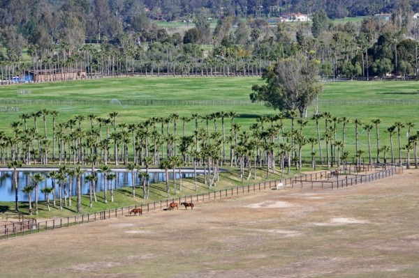horse farm California