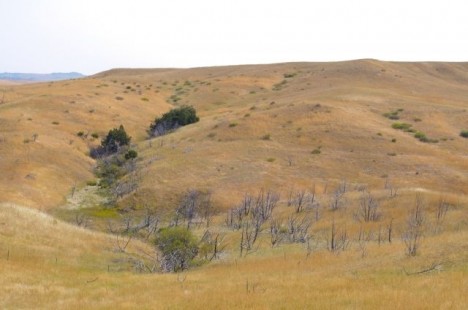 Little Bighorn battlefield Montana