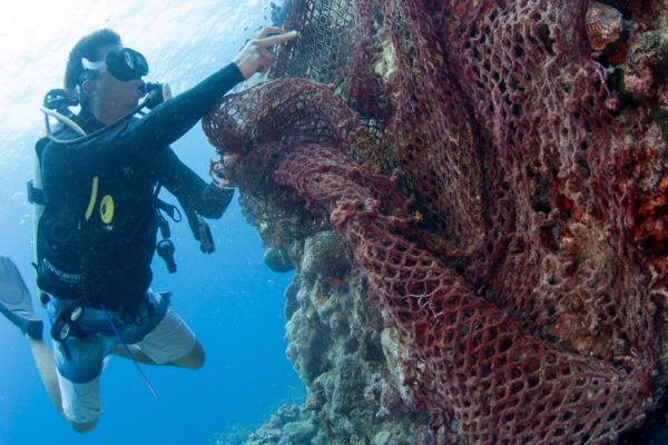A Reef Guardian researcher removing a ghost net from the reef